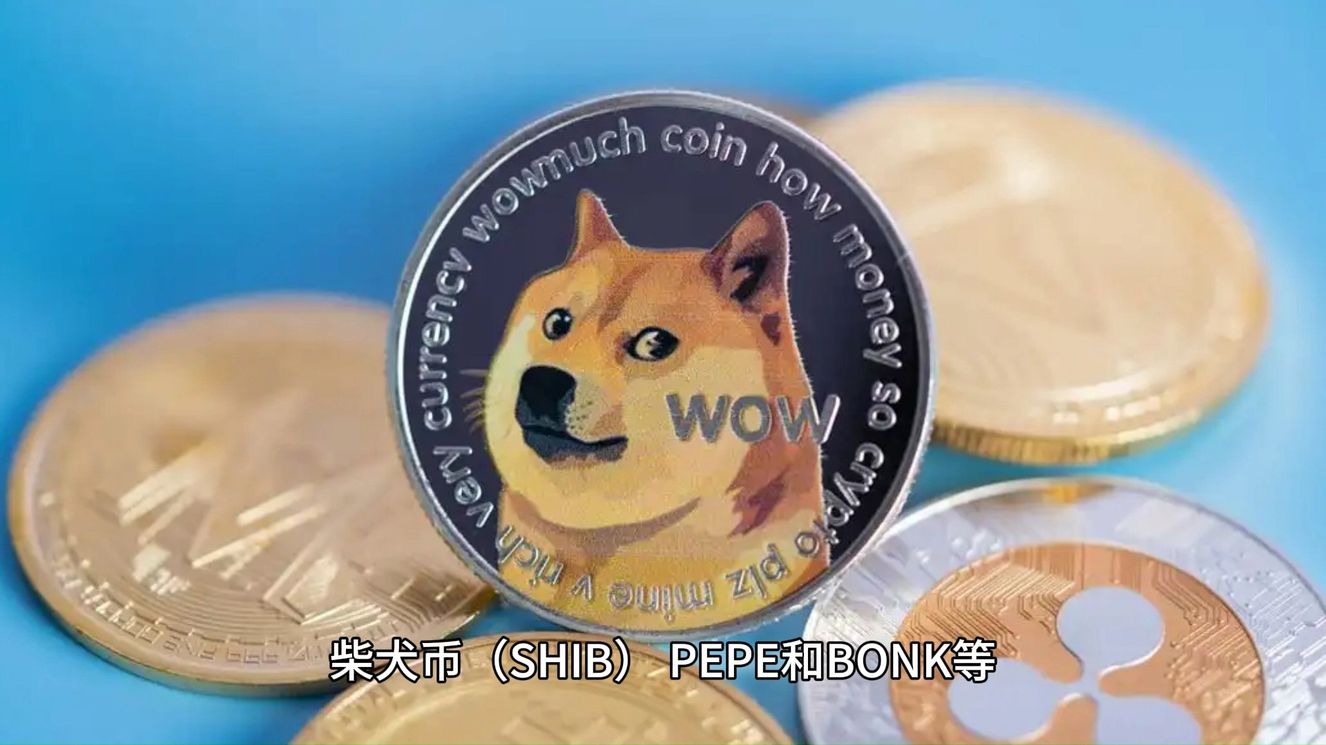 包含专家称狗狗币将在年底冲破28.42美元，引发引发关注的词条-九游体育官网