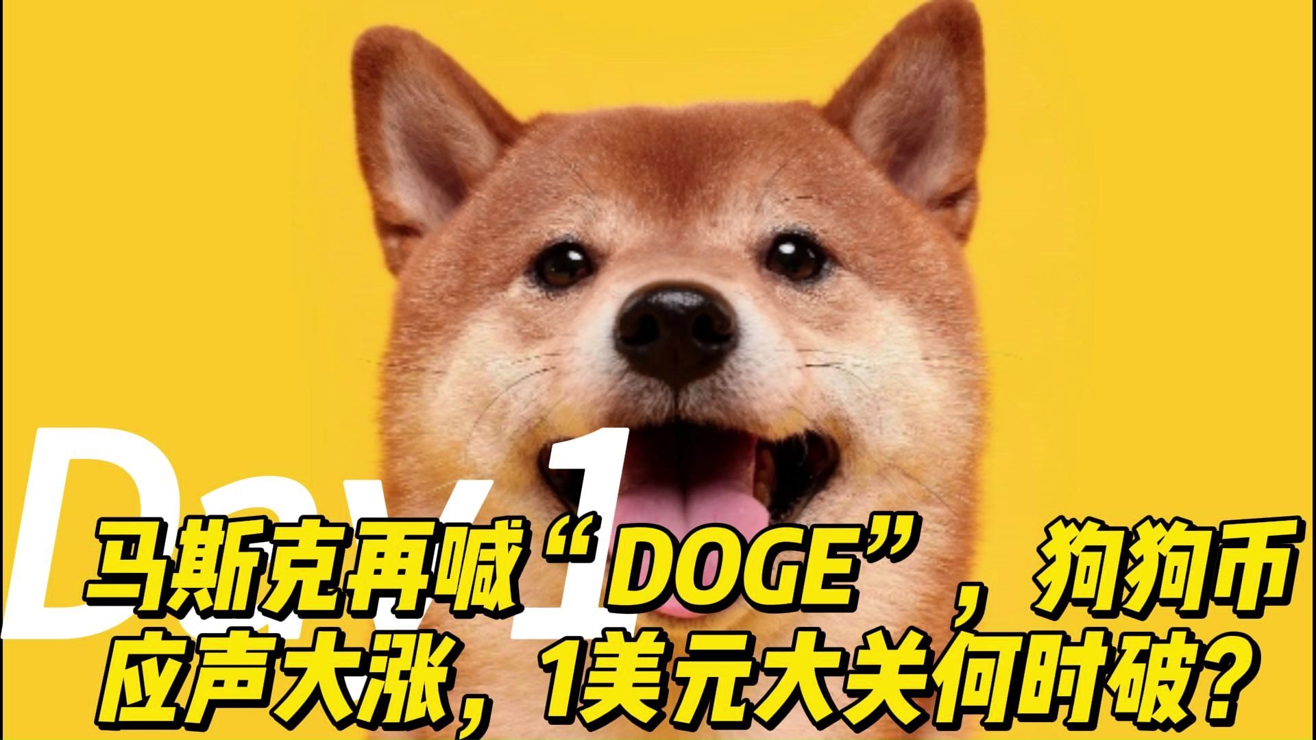 包含专家称狗狗币将在年底冲破28.42美元，引发引发关注的词条